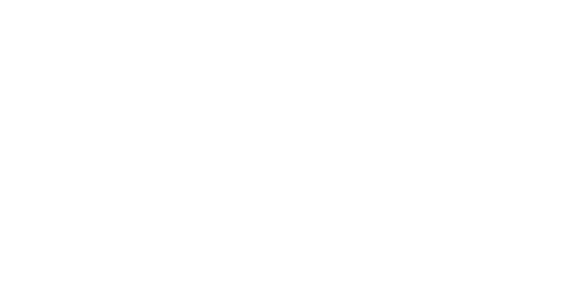 APA Agency